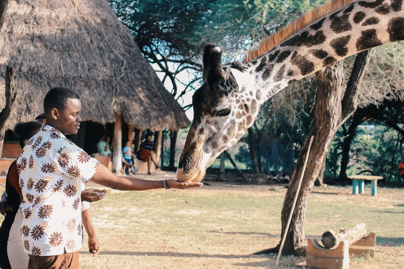 Familienausflug in den Zoo